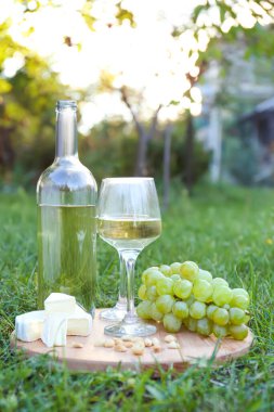 Lezzetli beyaz şarap, üzüm, peynir ve fındık yeşil çimlerin üzerinde