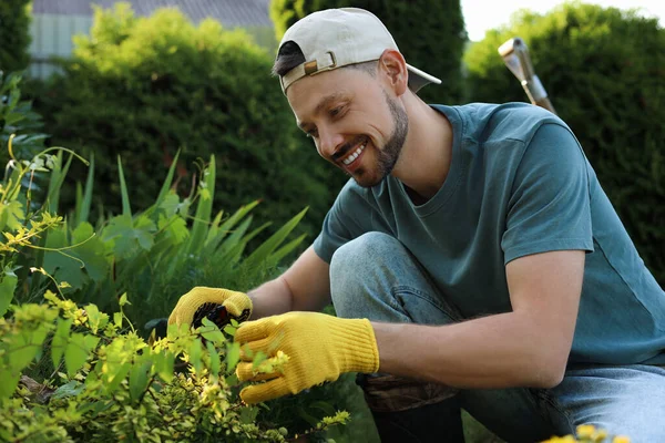 Homem Feliz Cortando Planta Livre Dia Ensolarado Tempo Jardinagem — Fotografia de Stock