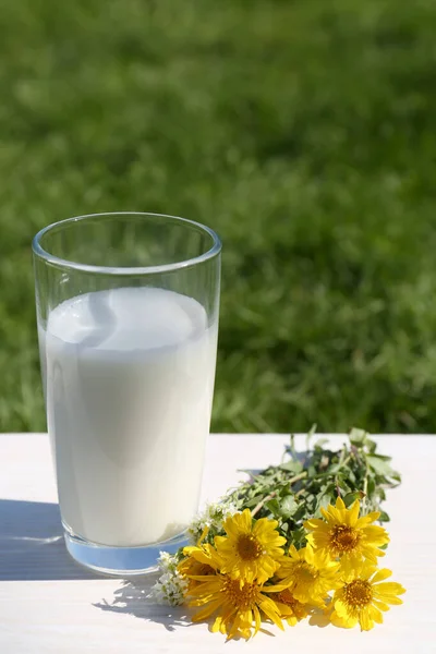 屋外の白い木製のテーブルの上に新鮮な牛乳や花のガラス — ストック写真