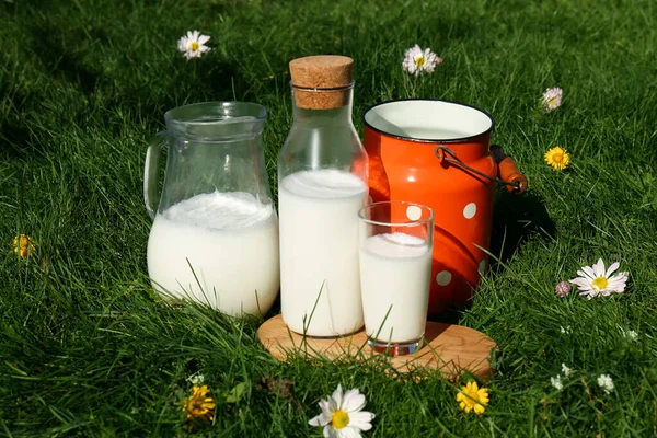 Chutné Čerstvé Mléko Zelené Trávě Venku — Stock fotografie