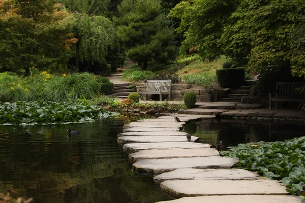 有池塘 石道和绿色植物的公园的美丽景色 — 图库照片