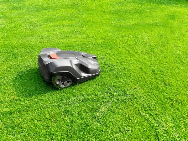 Modern Robot Lawn Mower Green Grass Garden — Foto Stock
