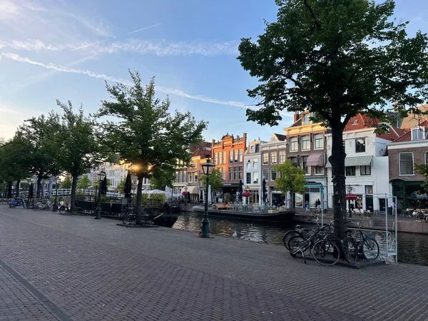 Leiden Holandia Sierpnia 2022 Malowniczy Widok Ulicy Miejskiej Drzewami Pięknymi — Zdjęcie stockowe