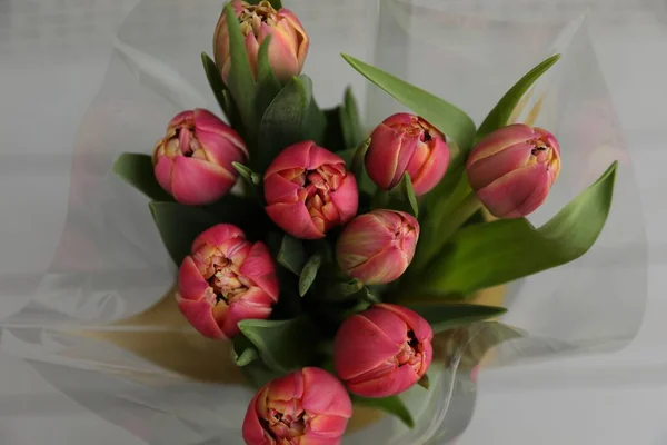 Hermoso Ramo Tulipanes Sobre Fondo Borroso Vista Superior — Foto de Stock