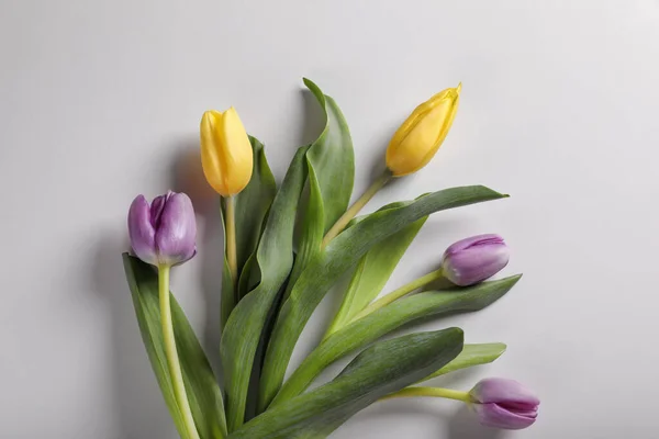 Hermosos Tulipanes Sobre Fondo Gris Claro Planas — Foto de Stock
