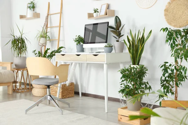Comfortable Workplace Modern Computer Different Houseplants Room — Foto de Stock