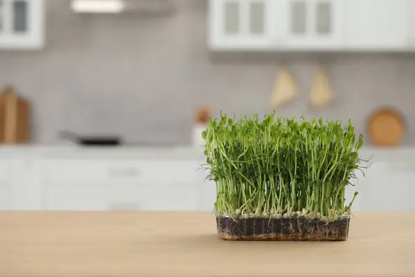 Mooie Potted Microgreen Tafel Keuken Ruimte Voor Tekst — Stockfoto