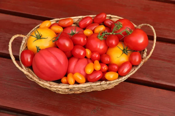 Wiklinowy Kosz Świeżymi Pomidorami Drewnianym Stole Widok Powyżej — Zdjęcie stockowe