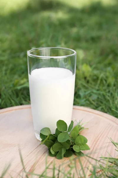 木の板の上の新鮮な牛乳と緑の葉のガラス屋外 — ストック写真