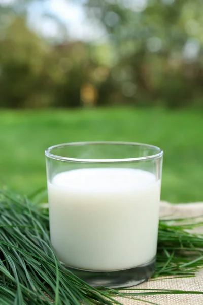 テーブルの上に新鮮な牛乳と緑の草のガラス — ストック写真