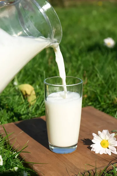 Наливаючи Смачне Свіже Молоко Глечика Склянку Зеленій Траві Відкритому Повітрі — стокове фото