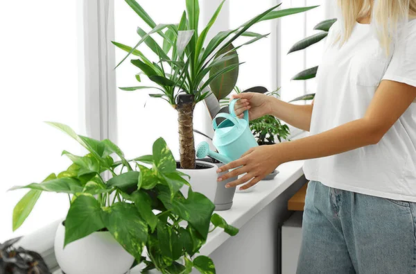 女人在家里的窗台上浇灌美丽的家居植物 — 图库照片