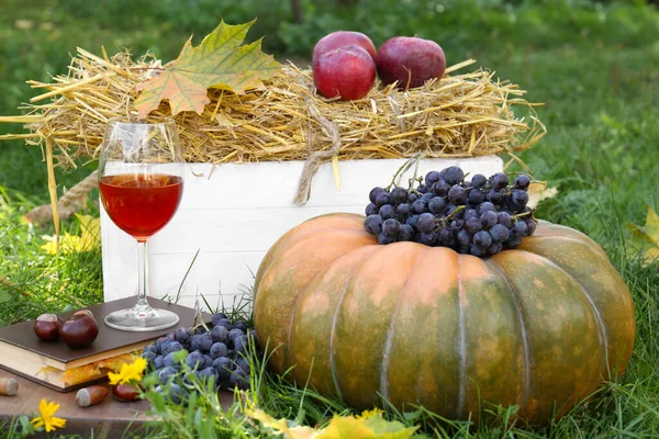 Glass Wine Book Pumpkin Grapes Green Grass Outdoors Autumn Picnic — Stock Photo, Image