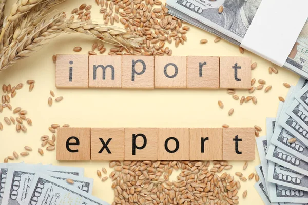 Palabras Importación Exportación Hecha Cuadrados Madera Espigas Trigo Billetes Sobre — Foto de Stock