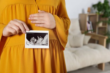 Oturma odasında ultrason fotoğrafı olan hamile bir kadın, yakın plan. Metin için boşluk