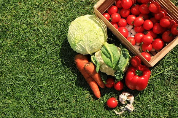Verschiedenes Schmackhaftes Gemüse Auf Grünem Gras Freien Von Oben Gesehen — Stockfoto