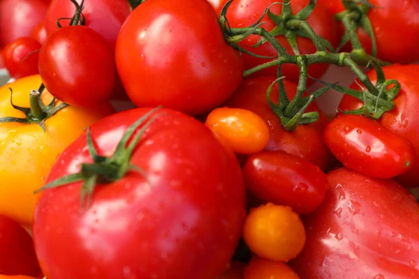 おいしい新鮮なトマトを背景に クローズアップビュー — ストック写真
