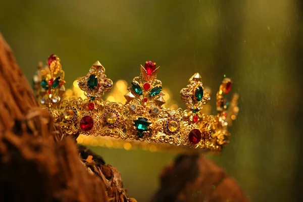 Prachtige Gouden Kroon Hout Buiten Close Fantasie Item — Stockfoto