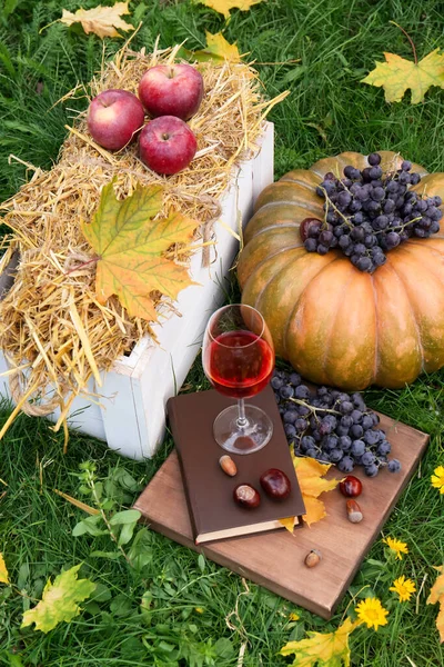 屋外の緑の芝生の上でワイン カボチャやブドウのガラス 秋のピクニック — ストック写真