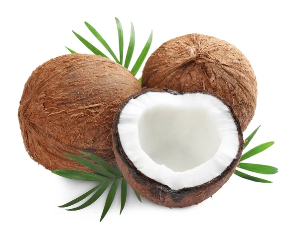 Fresh Ripe Coconuts Green Leaves White Background — Stock fotografie