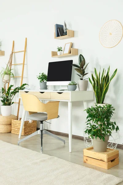Comfortable Workplace Modern Computer Different Houseplants Room — Foto Stock