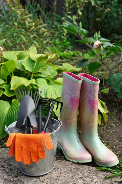 Μεταλλικός Κουβάς Γάντια Εργαλεία Κηπουρικής Και Λαστιχένιες Μπότες Κοντά Φυτά — Φωτογραφία Αρχείου