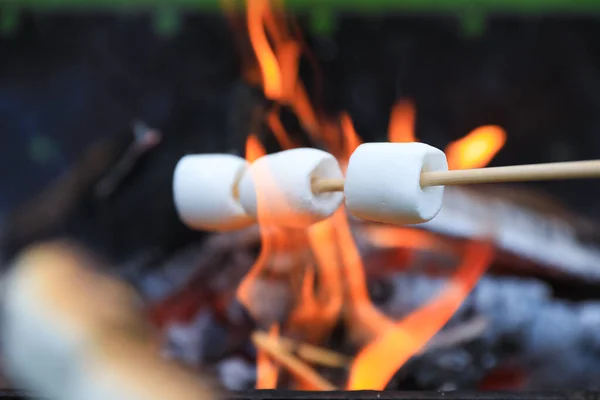 Delicious Puffy Marshmallows Roasting Bonfire Closeup — Stock Photo, Image