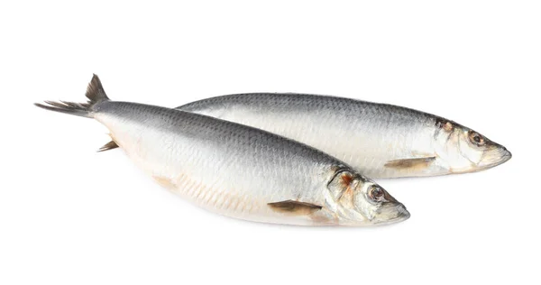 Tuzlu Ringa Balıklarının Hepsi Beyazda Izole Edilmiş — Stok fotoğraf