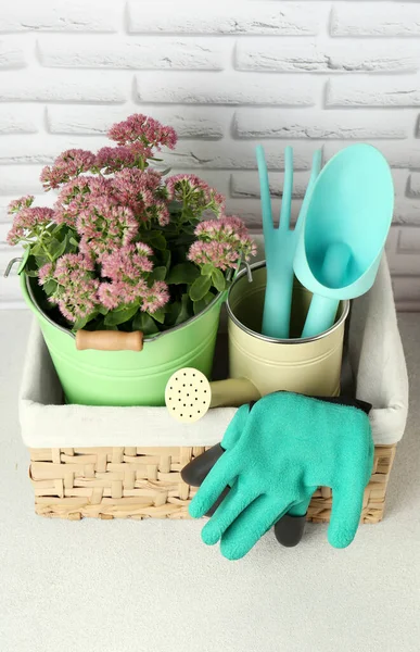 stock image Basket with watering can, gardening tools and beautiful plant on table near white brick wall