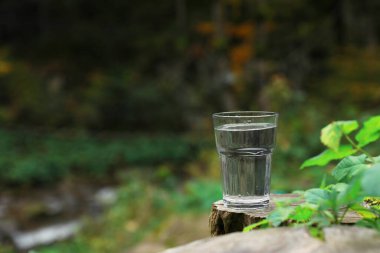 Ormandaki kütüğün üzerinde bir bardak taze su. Metin için boşluk