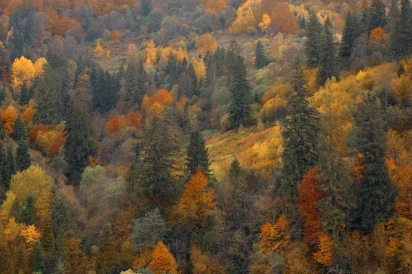 Schöne Landschaft Mit Wald Den Bergen Herbsttag — Stockfoto