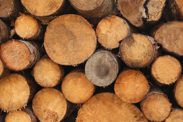 Stack Chopped Firewood Background Closeup — ストック写真