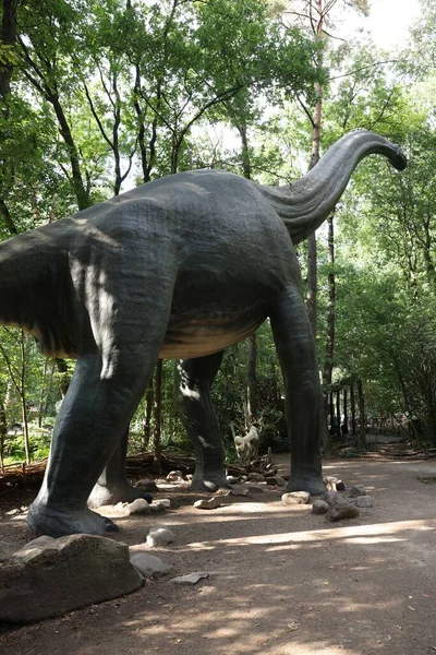 Amersfoort เนเธอร แลนด งหาคม 2022 Brachiosaurus ในด ลลาปาร คกลางแจ — ภาพถ่ายสต็อก