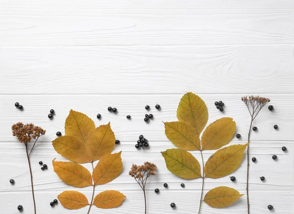 Flat Lay Composition Autumn Leaves Dried Yarrow Flowers Black Berries — Stock Photo, Image