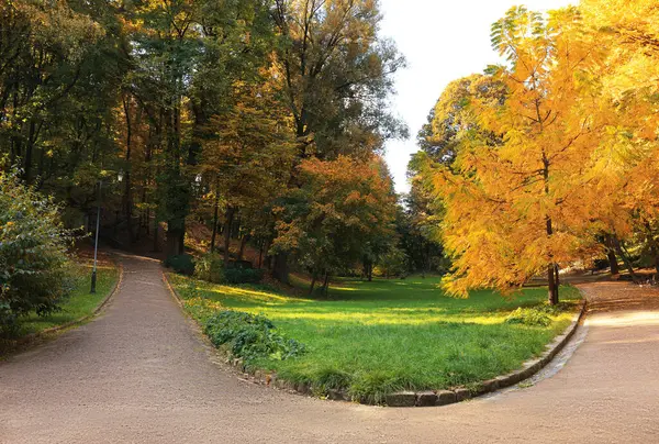 Ścieżka Drzewa Pięknym Parku Jesienny Dzień — Zdjęcie stockowe