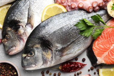 Taze çiğ dorado balığı, ahtapot ve somon açık gri masada, yakın plan.