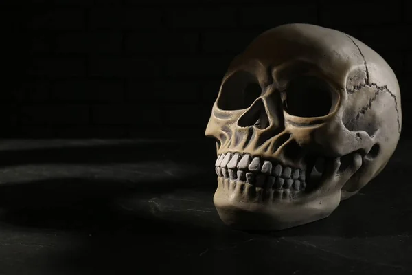 Old human skull with teeth on black background. Space for text