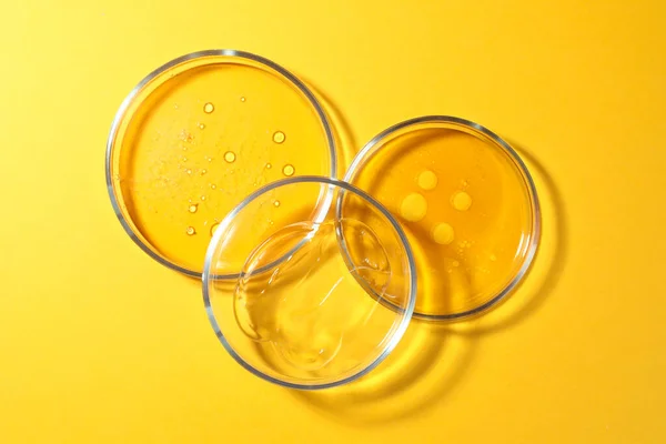 Petri dishes with liquids on orange background, flat lay