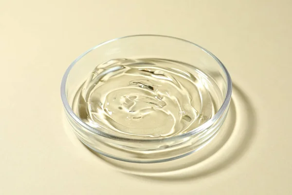 Petri dish with liquid on beige background, closeup