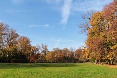 Güneşli bir günde güzel ağaçların ve yeşil çimlerin olduğu resim gibi bir park manzarası. Sonbahar mevsimi
