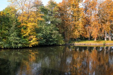 Nehir manzarası ve güzel parktaki ağaçlar. Sonbahar mevsimi