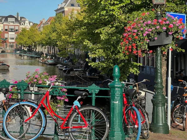 Вид Велосипеди Красиві Рослини Біля Каналу Міській Вулиці — стокове фото