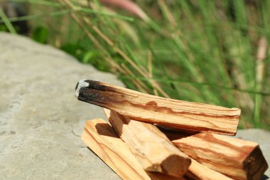 Yanan palo santo dışarıda taşa yapışıyor, yakın plan. Metin için boşluk