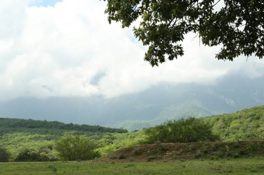 Dağların ve yeşil çayır manzarası