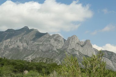Güzel dağların ve bulutlu gökyüzünün altındaki bitkilerin resimli görüntüsü.