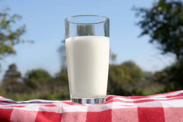 Стакан Свежего Молока Клетчатом Одеяле Открытом Воздухе — стоковое фото