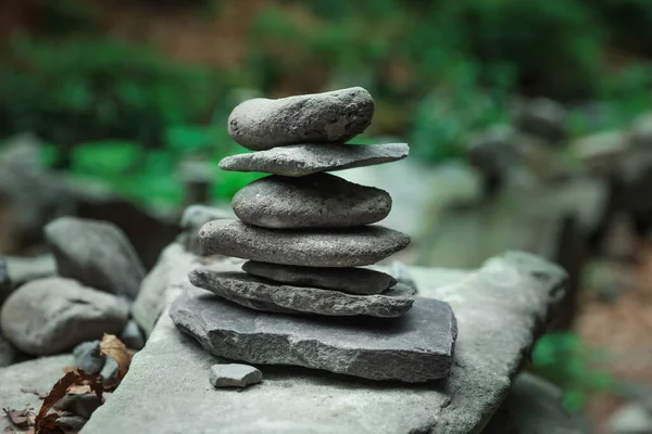Багато Складених Каменів Біля Рослин Лісі — стокове фото