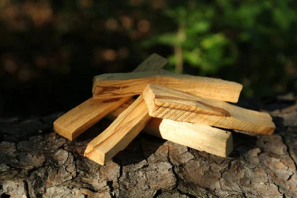屋外で木の樹皮にパロサントスティック — ストック写真