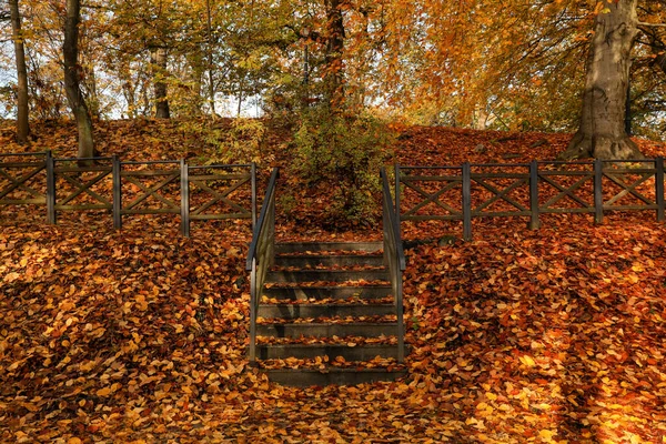 Stone Stairs Fallen Yellowed Leaves Park — Stock Photo, Image
