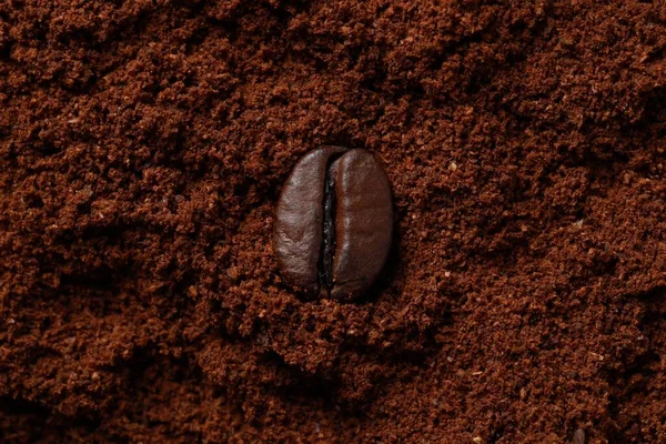 Roasted bean on ground coffee, top view